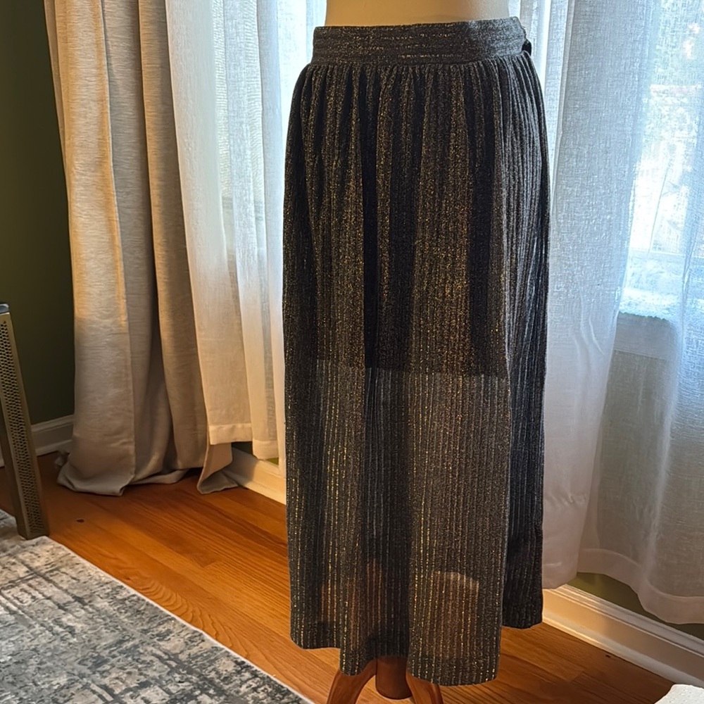 Elegant black silver  Sheer Skirt